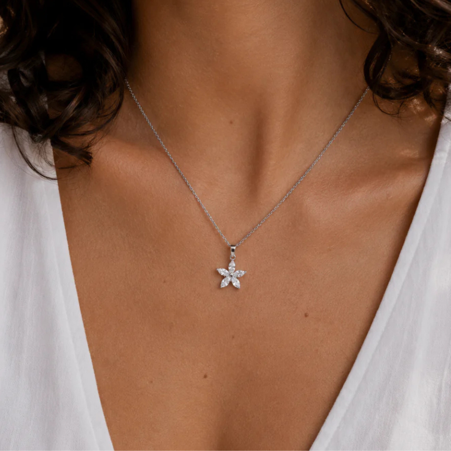 The Daisy Bloom