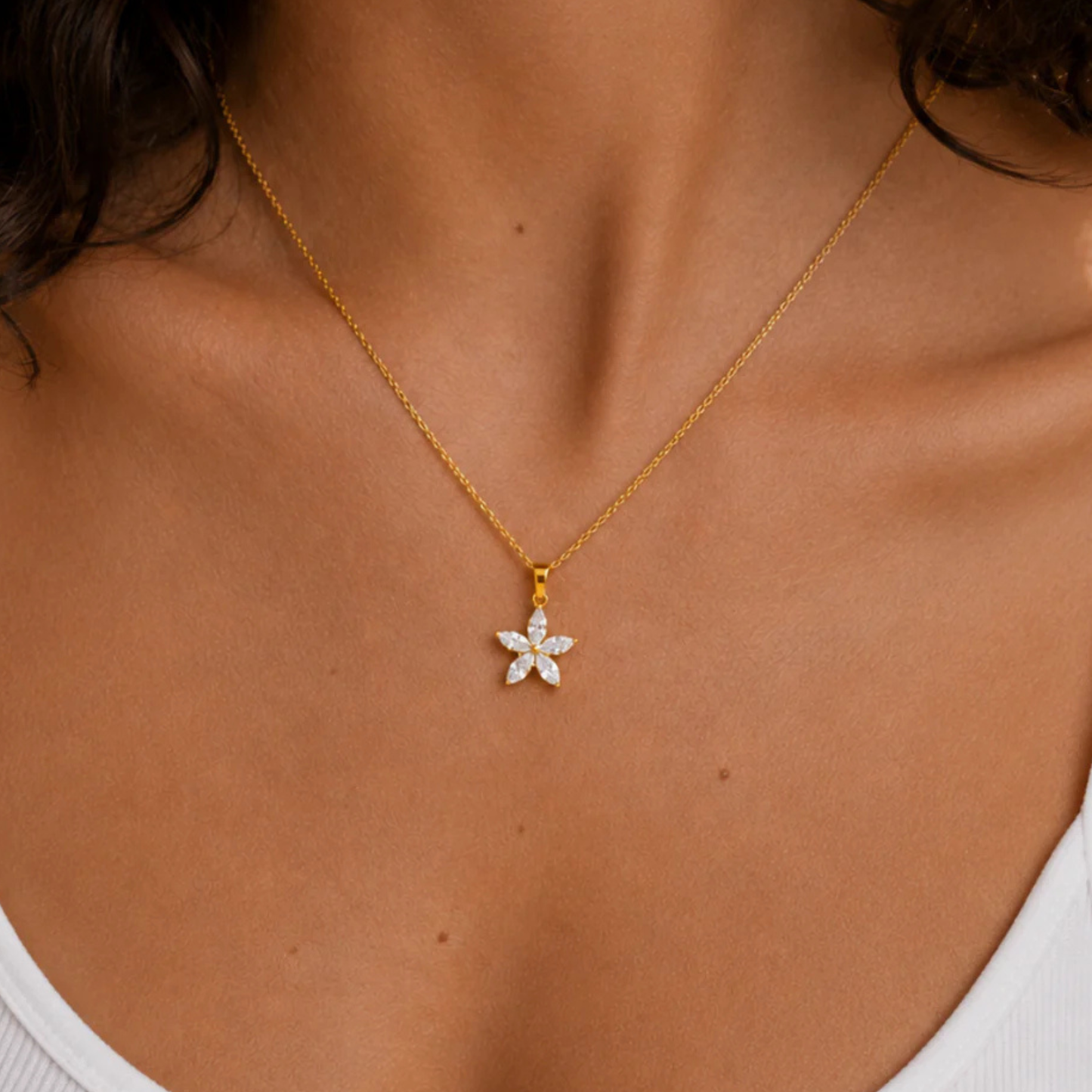 The Daisy Bloom
