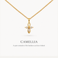 Camellia