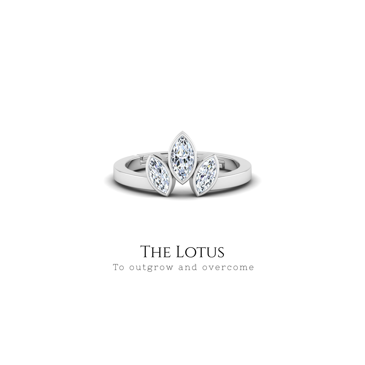 The Lotus