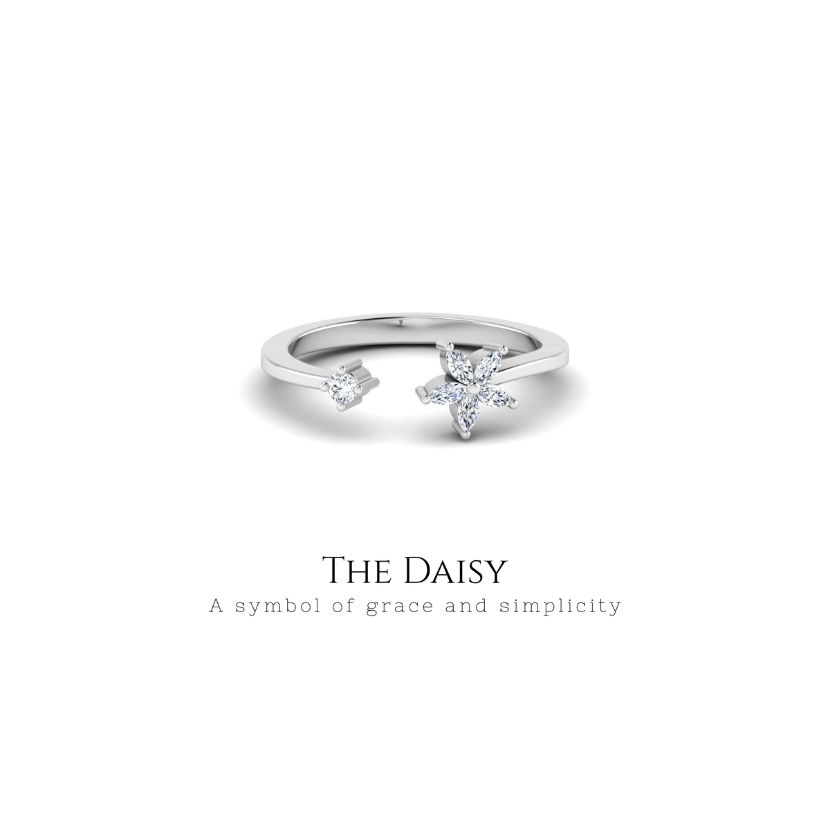 The Daisy