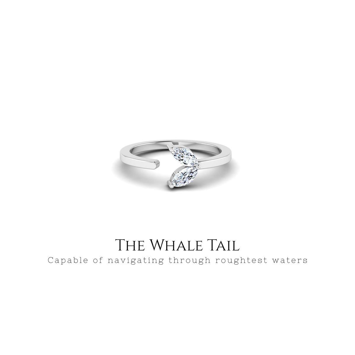 The Whale Tail