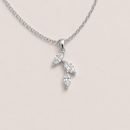 The Olive Leaf