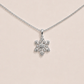 The Snowflake