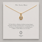 The Aaina Muse