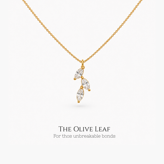 The Olive Leaf