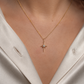 The Northern Star