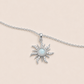 The Sun