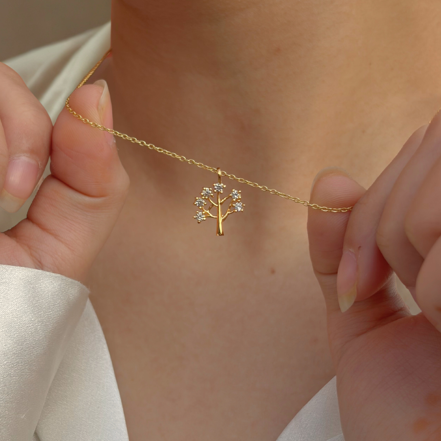 The Tree of Life