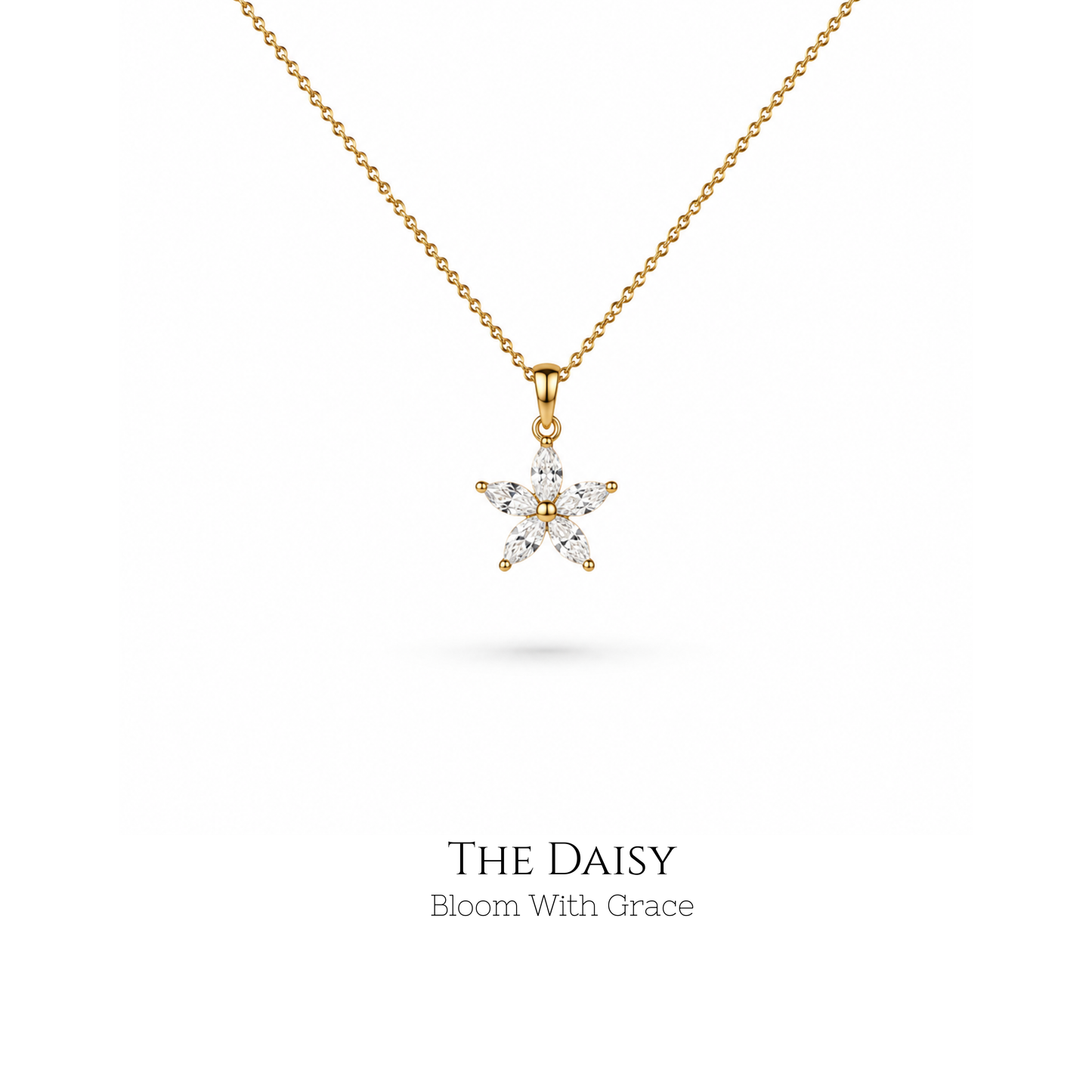 The Daisy Bloom