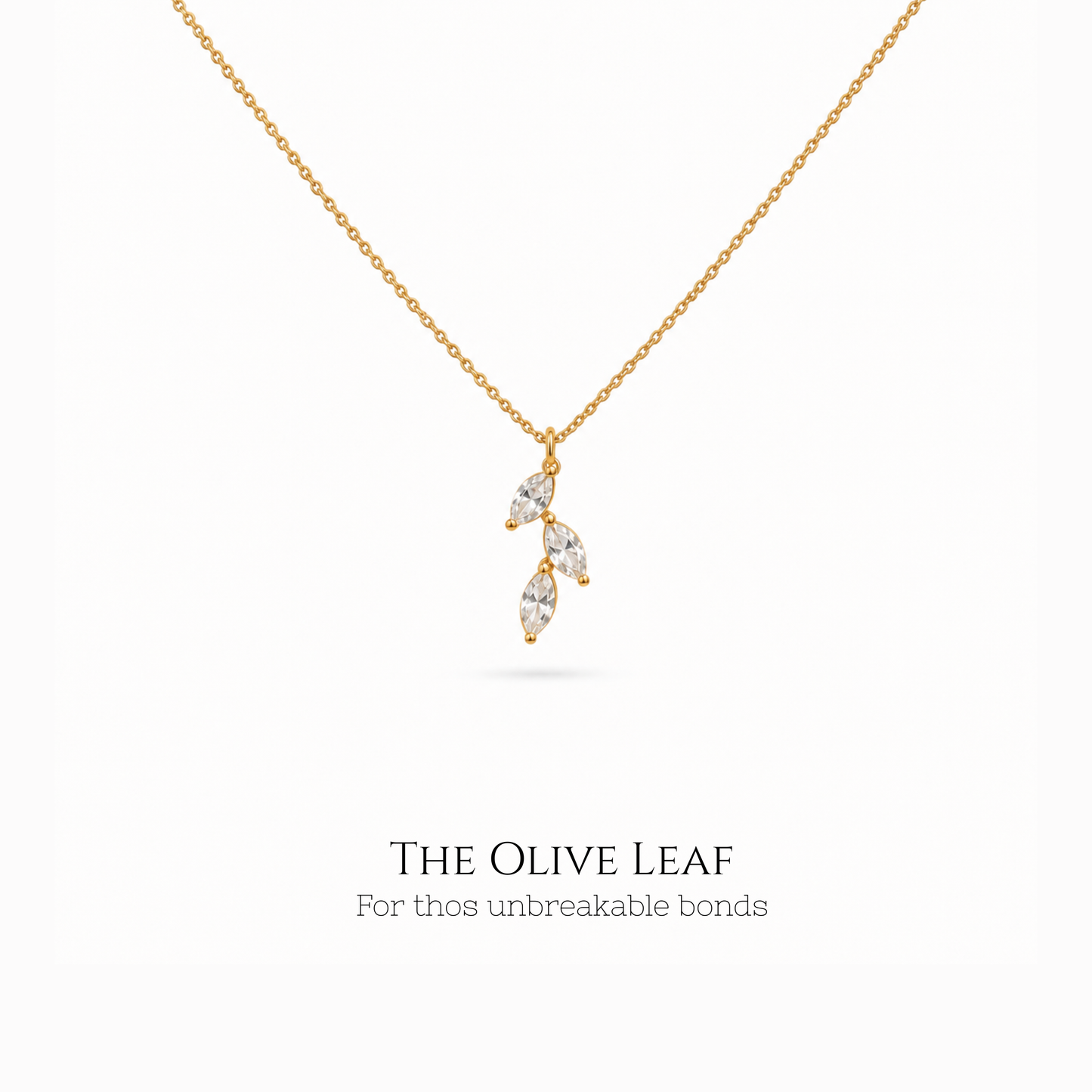 The Olive Leaf